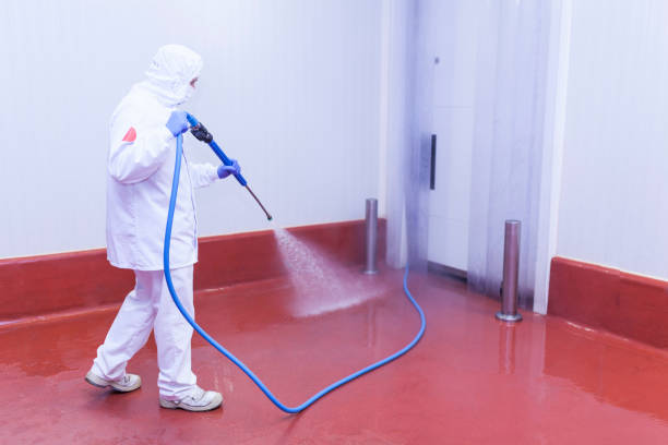 Best Pool Deck Cleaning  in East Los Angeles, CA